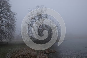 Foggy morning. Gray mystical landscape