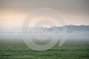 Foggy morning in the haze landscape.