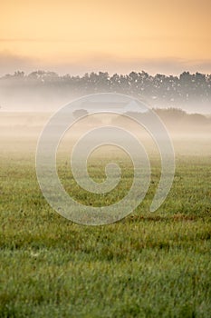 Foggy morning in the haze landscape.