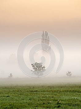 Foggy morning in the haze landscape.