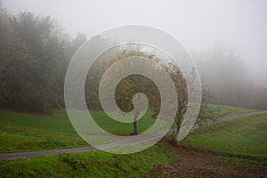 Foggy morning on the hill in the Italian countryside. Autumn landscape.