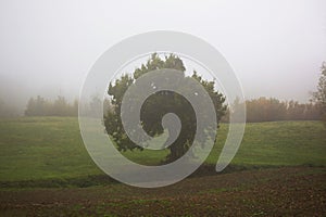 Foggy morning on the hill in the Italian countryside. Autumn landscape.