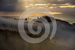 Foggy morning in the hills of Tuscany near San Gimignano, Tuscany, Italy.