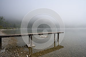 Foggy morning at a lake jetty