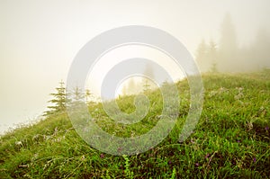 Foggy morning landscape