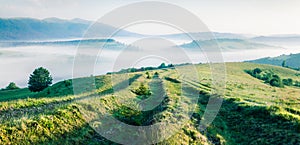 Foggy morning landscape of mountain countryside with abandoned road. Bright summer panorama of Carpathians, Ukraine, Europe.