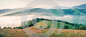 Foggy morning landscape of mountain countryside with old country road. Bright summer panorama of Carpathians, Ukraine, Europe.