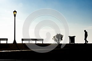 Foggy Morning - Levee Silhouettes - New Orleans