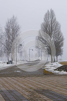 Foggy morning in Ludvika municipality, Sweden.