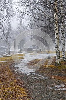 Foggy morning in Ludvika municipality, Sweden.