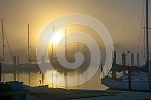 Foggy morning at the marina
