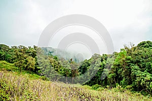 Foggy morning on the mountain, Doi Inthanon the northernmost of Siam, Chiang Mai, Thailand.