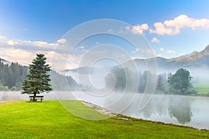 Foggy morning on the mountains lake landscape with tree and bench