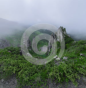 Foggy morning. Mountains landscape. Meadow are covered with morning fog. Natural scenery