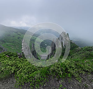 Foggy morning. Mountains landscape. Meadow are covered with morning fog. Natural scenery