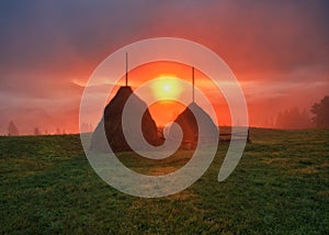 Foggy morning in the mountains. Summer dawn in the Carpathians