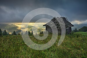 Foggy morning in the mountains. Summer dawn in the Carpathians