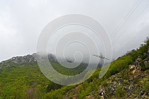 Foggy morning in the mountains-wooded mountain tops, birds in the fog, clouds.