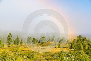 Foggy morning in nature with a rainbow