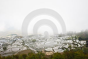 Foggy morning over rice terraces in Yuanyang in Duoyinshu spot, Yunnan province