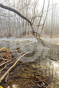 Foggy morning over the river Kamchia