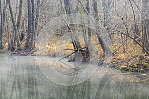 Foggy morning over the river Kamchia