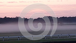 Foggy morning racetrack