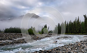 Foggy morning on river Shumak