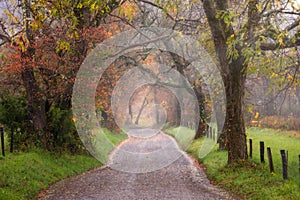 Foggy Morning on Sparks Lane