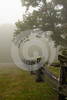 Foggy morning with split rail fence
