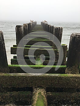 Foggy Morning in Spring at Brighton Beach in Brooklyn, New York, NY.