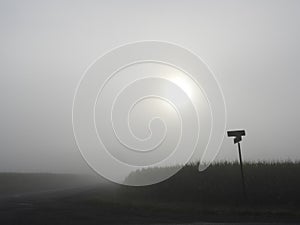 Foggy morning with sunrise and daybreak at cornfield