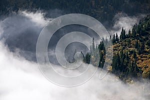 Foggy morning. Sunrise. Landscape with high mountains. Forest of the pine trees. The early morning mist. Touristic place. Natural