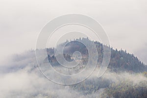 Foggy morning. Sunrise. Landscape with high mountains. Forest of the pine trees. The early morning mist. Touristic place. Natural