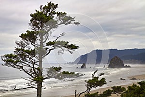 Foggy Morning at Tolovana Beach Oregon