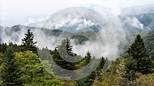 Foggy Morning in the Valleys of the Appalachian Mountains View from The Blue Ridge Parkway