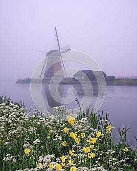 Foggy morning at the windmills at Kinderdijk
