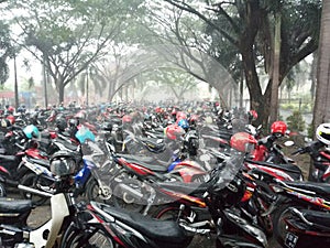 foggy motor vehicle parking lot