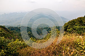 Foggy mountain landscape in autumn.