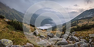 Foggy Mountain Landscape