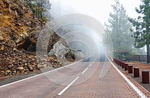 Foggy mountain road in the Natural Park of the Corona Forestal. Tenerife, Canary Islands, Spain.