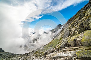 Foggy Mountains