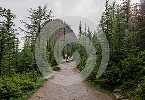 Foggy mountains after rain in Banff National park, Alberta, Canada