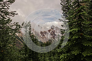 Foggy mountains after rain - snow capped peaks, rocks, wet green pine trees and cloudy sky in Banff