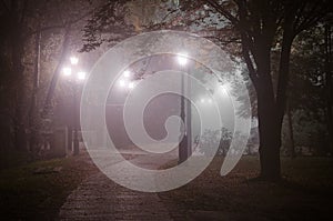 Foggy night in November