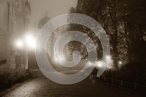 Foggy night in the park