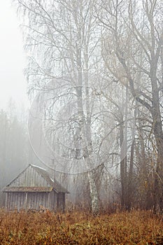 Foggy November day over countryside