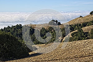 Foggy Ocean view from Mt. Tamalpais