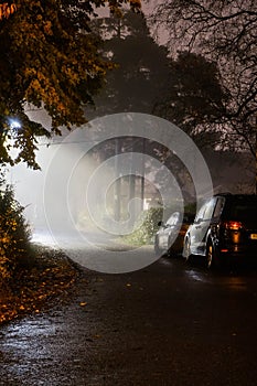 Foggy October night. The fog is highlighted with street lights. Beautiful warm soft light diffusion. Autumn leaves a complete Hall