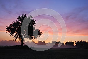 Foggy Oklahoma Sunrise